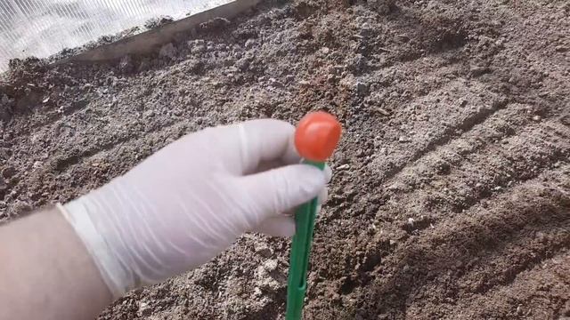 Удобрение за 2 месяца//Шалашик для рассады! смотреть онлайн