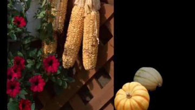 Кузня - Служба Спасения Сада смотреть онлайн