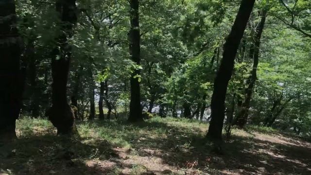 Oguz Şəhəri - Город Огуз# Горы и Леса Азербайджана# Azerbaijan Mountains# смотреть онлайн