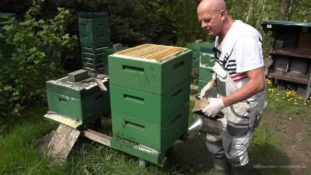 Der Irrsinn beginnt: Bienen Schwarmkontrolle - Dunkle Biene in Frankenbeute und Segeberger Beute смотреть онлайн