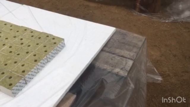 Подготовили рассадное отделение. Обзор приобретенных кубиков для рассады.