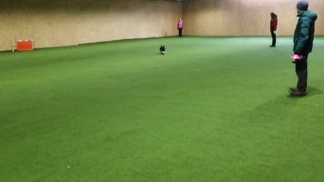 Лютра тренировочные соревнования смотреть онлайн