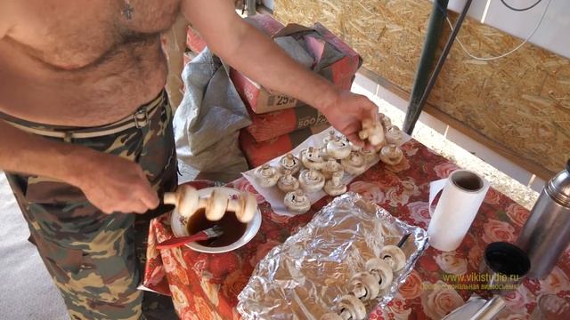 Секрет приготовления вкусных шампиньонов на гриле смотреть онлайн