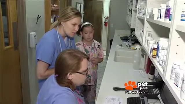 I want to be a Veterinarian when I grow up by Noah's Animal Hospital by PetPalsTV смотреть онлайн