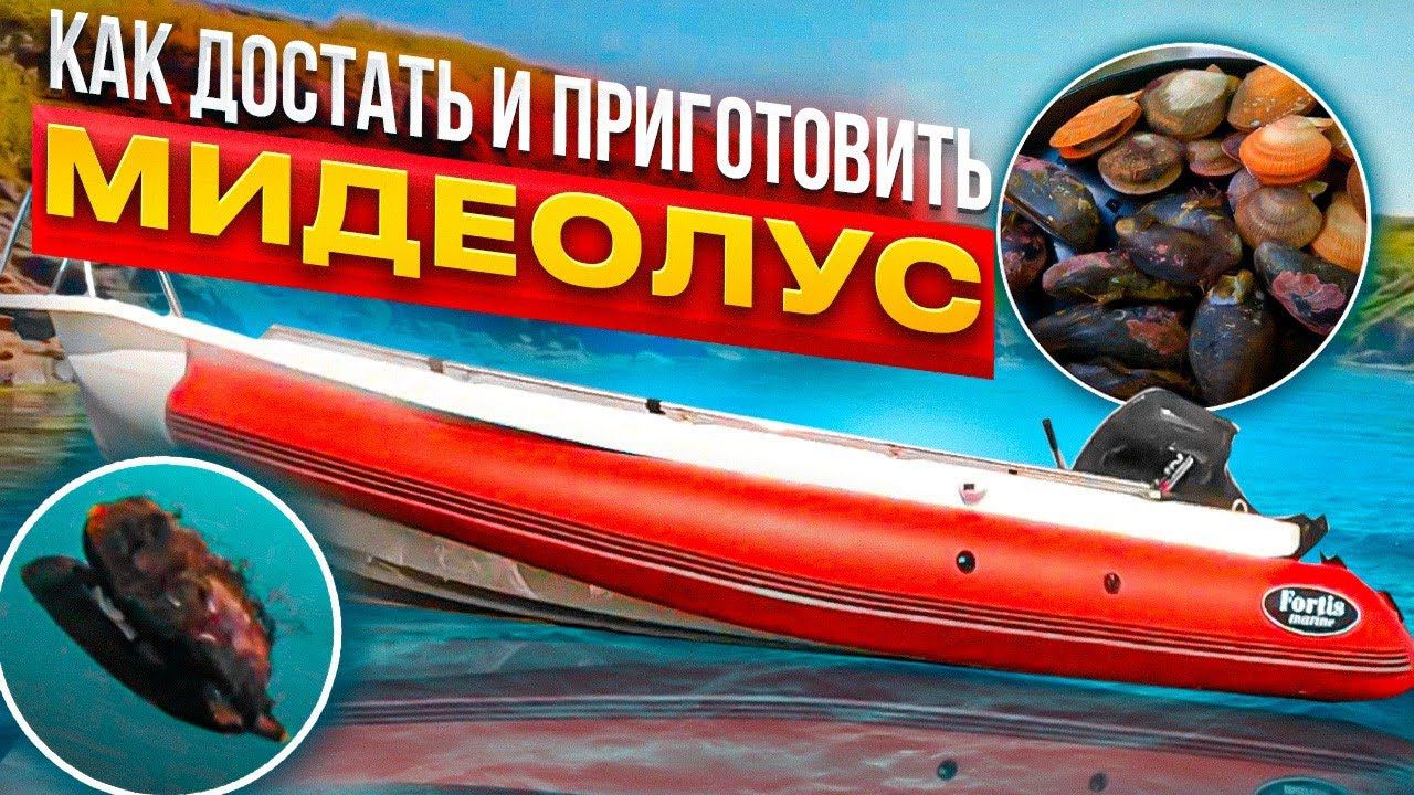 как достать и приготовить МИДЕОЛУС смотреть онлайн