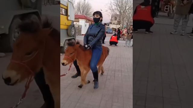 Beauty riding a pony Красивая китаянка на пони смотреть онлайн
