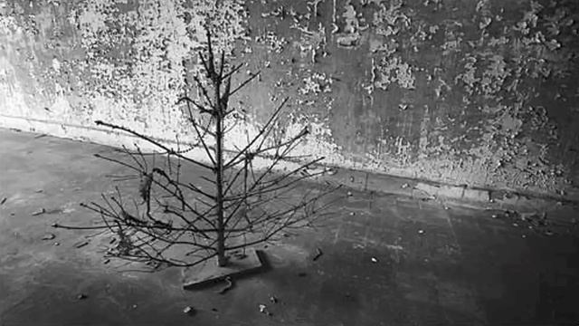 Richard Brautigan: What Are You Going to Do with 390 Photographs of Christmas Trees? смотреть онлайн