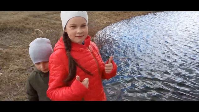 Лягушки - путешественницы!! Наш домашний террариум! смотреть онлайн