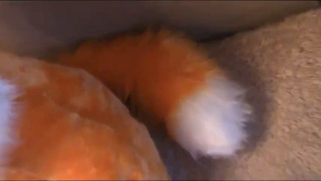 Мягкая игрушка ЛИСА 60 СМ VERUNDUK смотреть онлайн