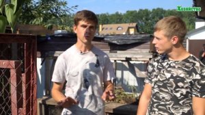 Компостная яма или куча? Что лучше?