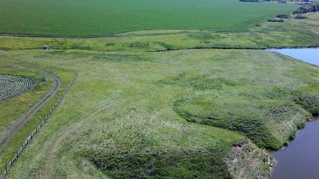 Съемка с квадрокоптера . Глазуновка. Полёт цапли . Пруд . Поля . Лето. Красоты. Саратовская область смотреть онлайн
