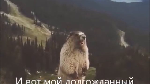 Дальневосточный гектар смотреть онлайн