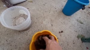 Текущий ремонт тандыра, состав раствора для заделки трещин и сколов.