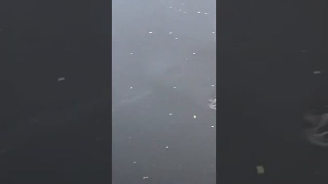 Лещ идёт на нерест смотреть онлайн