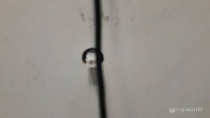 Замена поворотного редуктора в инкубаторе Блиц норма