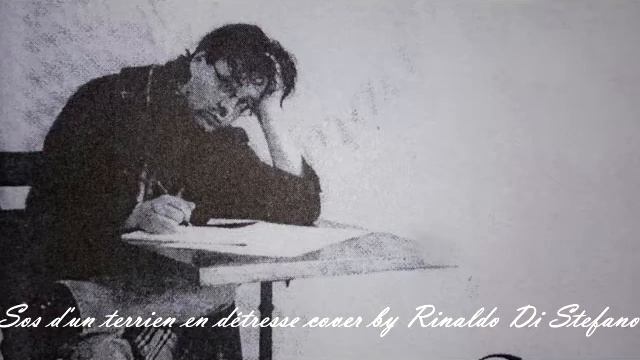 Sos d'un terrien en détresse - Cover by Rinaldo Di Stefano смотреть онлайн
