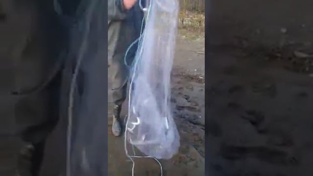 КАСТИНГОВАЯ СЕТЬ. Техника заброса. Диаметр 3.6 м. смотреть онлайн