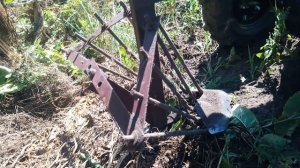 Копка картофеля мотоблоком с веерной картофелекопалкой | How Russians dig potatoes.