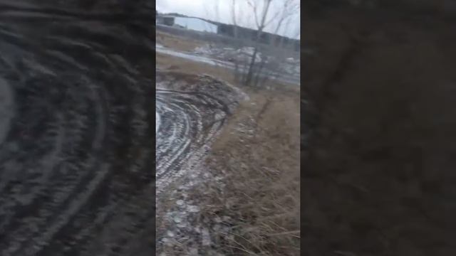 Дёрт в Воронеже