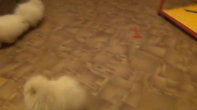 Клубок Колобок смотреть онлайн