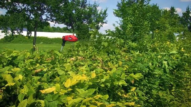 EINHELL GE-HC 18 Li T Akülü Testere ve Çit Budama смотреть онлайн