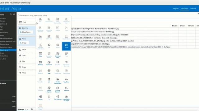 Adding custom images to Data Visualization Desktop using extensions смотреть онлайн