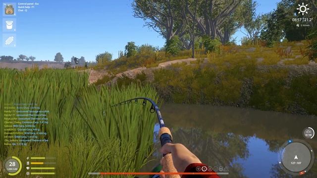 ｜Russian Fishing 4｜Akhtuba River - Trophy Buffalo смотреть онлайн
