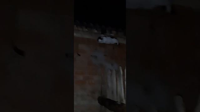 Глаза сверху смотреть онлайн