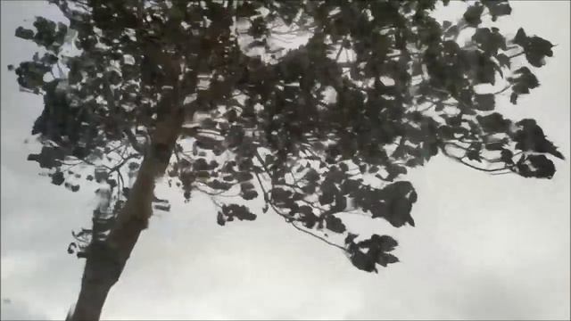 Осень и Женщина... смотреть онлайн