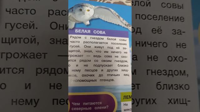 8 апреля 2023 г. смотреть онлайн