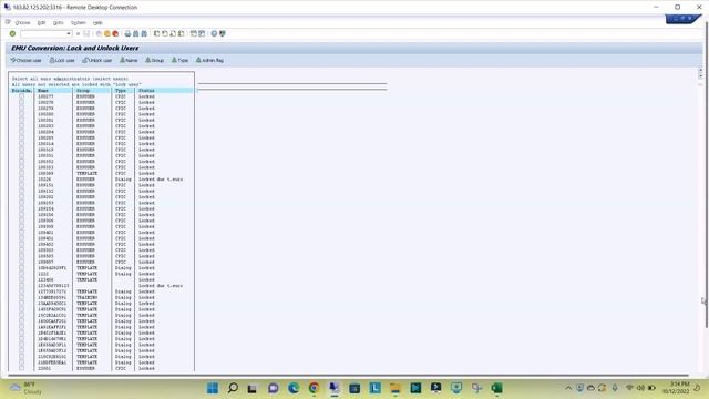 How to Lock or Unlock Multiple Users in SAP смотреть онлайн