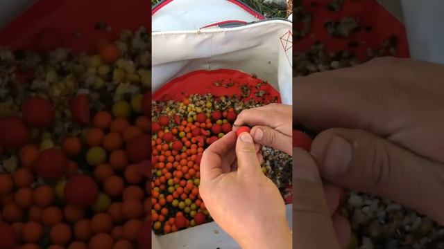 Самая бюджетная прикормка на карпа и амура смотреть онлайн