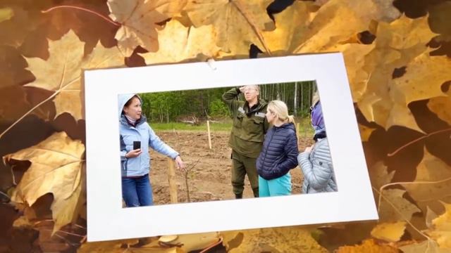 Григорьевские Сады смотреть онлайн