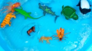 Узнайте имена животных Дикие животные Игрушки для детей