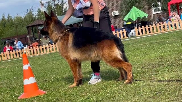 VID_20240813_155456_067.mp4.mov смотреть онлайн
