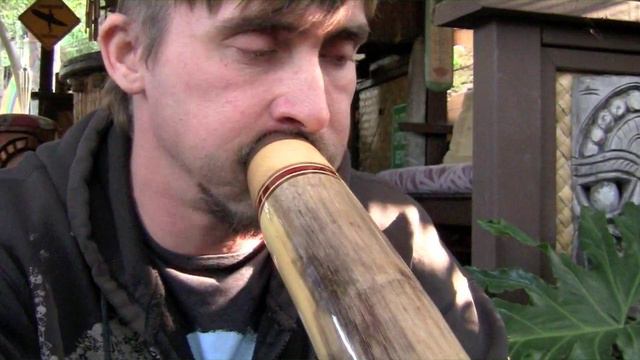Tyler Spencer Agave Didgeridoo "TS308" смотреть онлайн