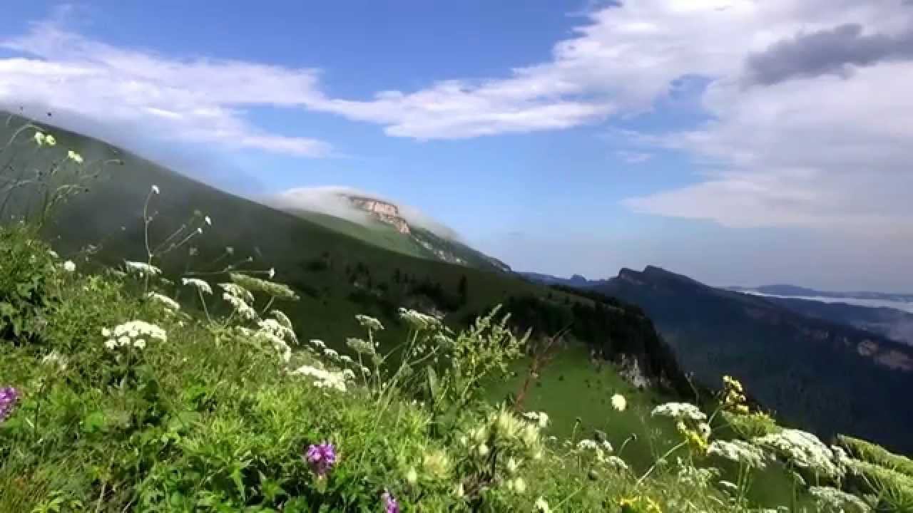 Санаторий Березки