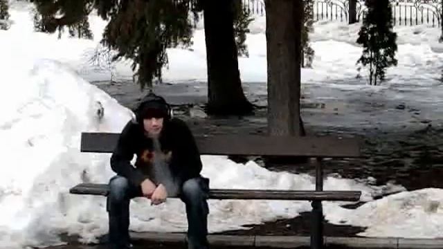 Кленовый лист