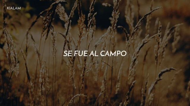 Alan Jackson // Gone Country (Traducción en español) смотреть онлайн