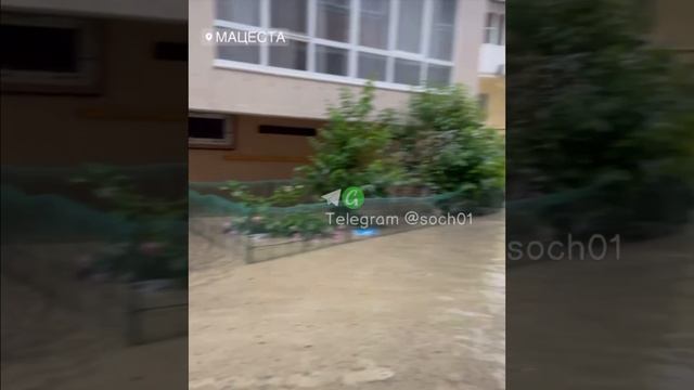 [ Альбом ]
Жители Сочи публикуют кадры последствий разлива реки Мацесты из-за ливней. Мэр города со смотреть онлайн
