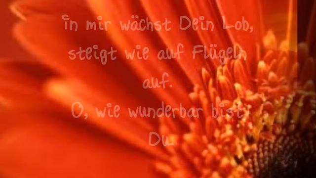 Du siehst die wunden Danny Plett Lyrics (mit Text) смотреть онлайн