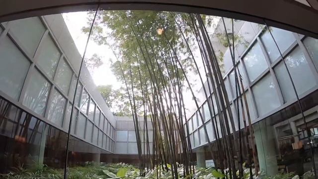 Сингапур за викенд. Прогулка отелем The Ritz-Carlton смотреть онлайн