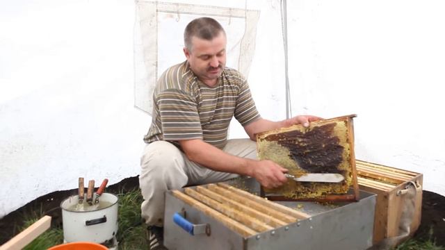 Пчеловодство. Сергей Толстов советы для начинающих пчеловодов. Качка меда. смотреть онлайн