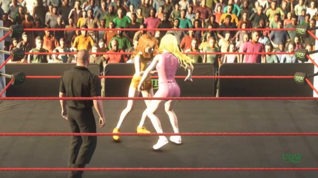 Princess Peach Vs. Princess Daisy (Request)