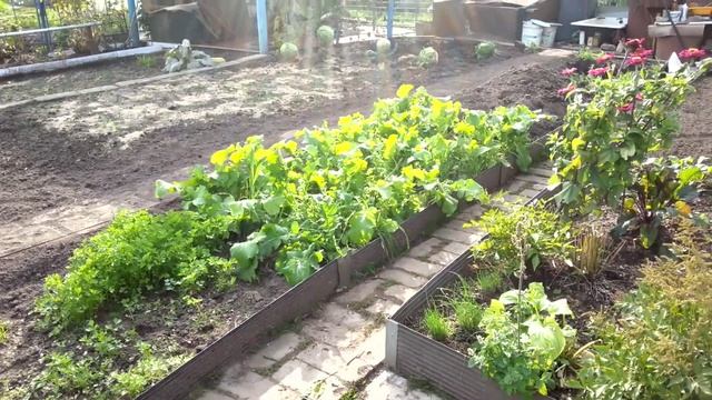 Дача смотреть онлайн