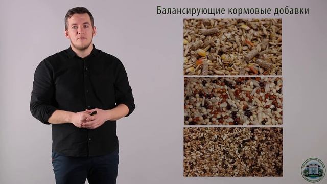 6 4 Комбикорма смотреть онлайн