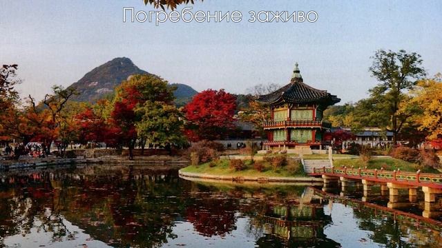 Странные услуги, которые пользуются популярностью