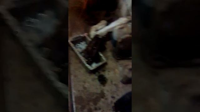 Гольф4 1:6бенз.заклинил распредвал! смотреть онлайн