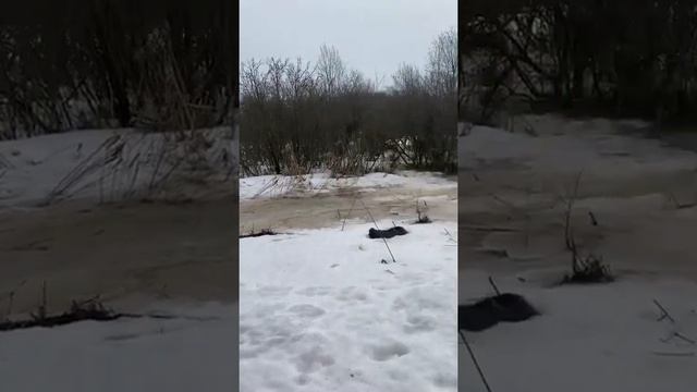 ГРАМОТНАЯ И БЮДЖЕТНАЯ ОТМОСТКА ВОКРУГ ДОМА СВОИМИ РУКАМИ!!! Спустя три года, все на месте смотреть онлайн