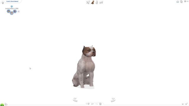 The Sims 4 pitbull/Americanbullies/pets смотреть онлайн